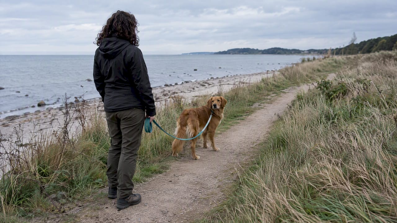 Ejeren kalder på sin hanhund ved kysten