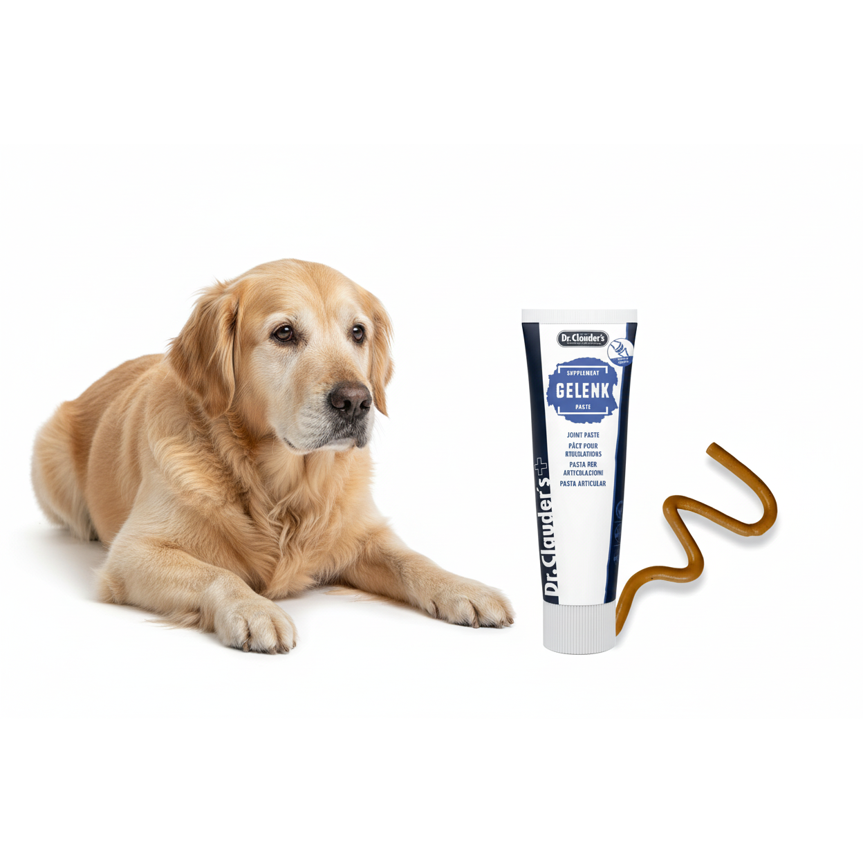 Led Serum til Hund & Kat | Glucosamin, Kollagen & Hyalyronsyre