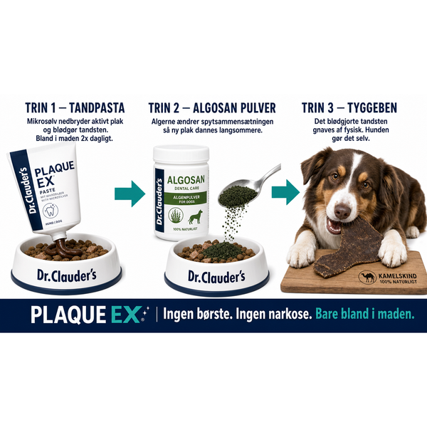 Plaque Ex Startpakke: tandpasta og Algosan Pulver