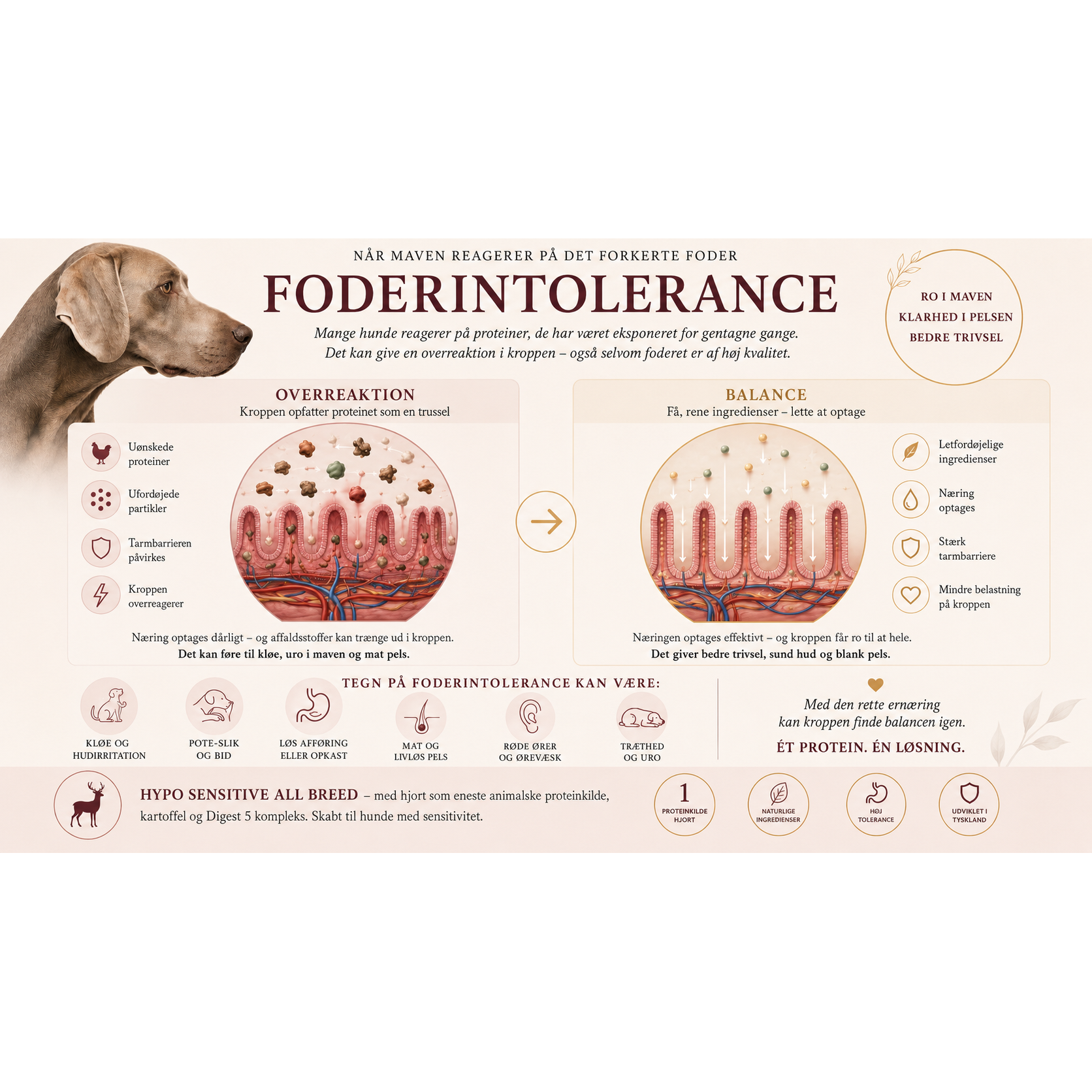 20kg Hjort & Kartofler | Kornfrit Hypoallergenic Hundefoder | Dr.Clauder's Tørfoder