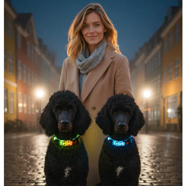 LED Hundehalsbånd med Lys | Blå | Genopladelig