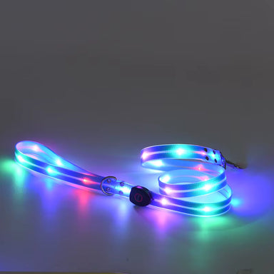 LED Hundesnor med Lys | Blå | Genopladelig