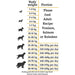 Kornfrit Hundefoder | Store Racer + Glucosamin | And, Kalkun & Fasan